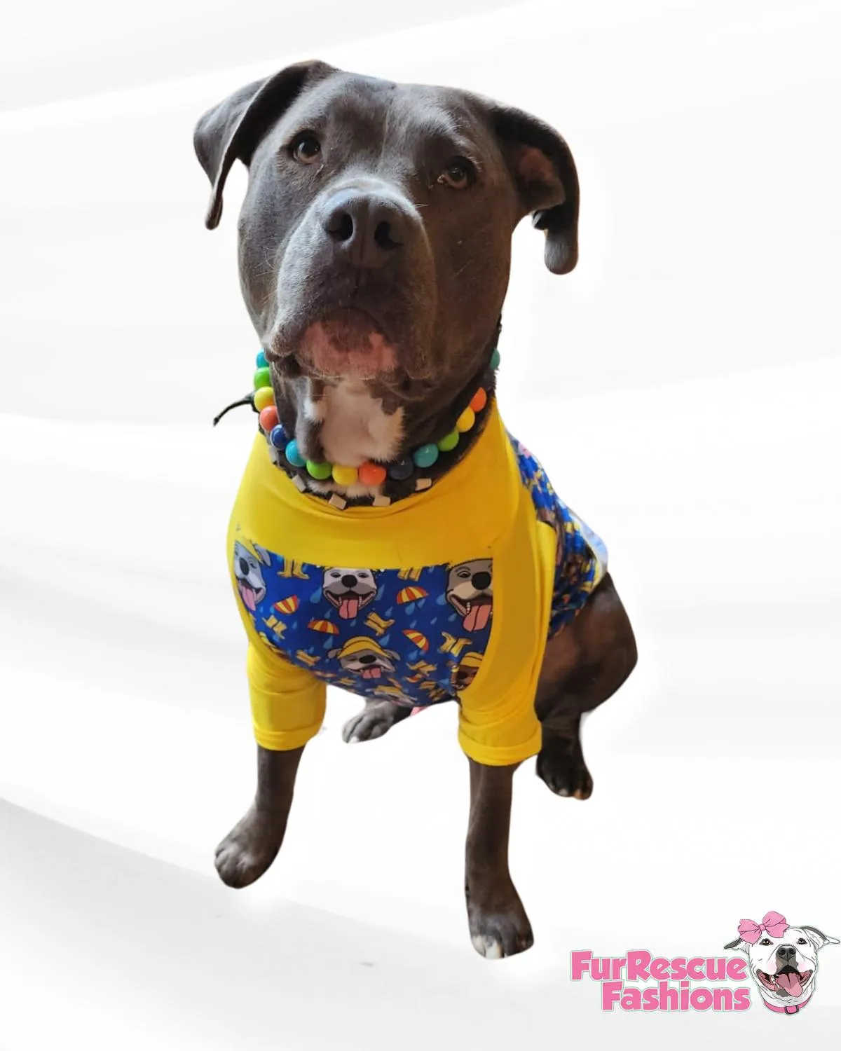 Pitties in the Rain - PAWJama with Yellow Trim/Sleeves