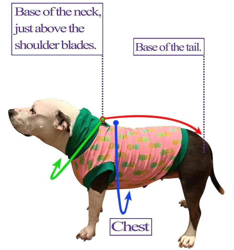 Pitties in the Rain - PAWJama with Yellow Trim/Sleeves